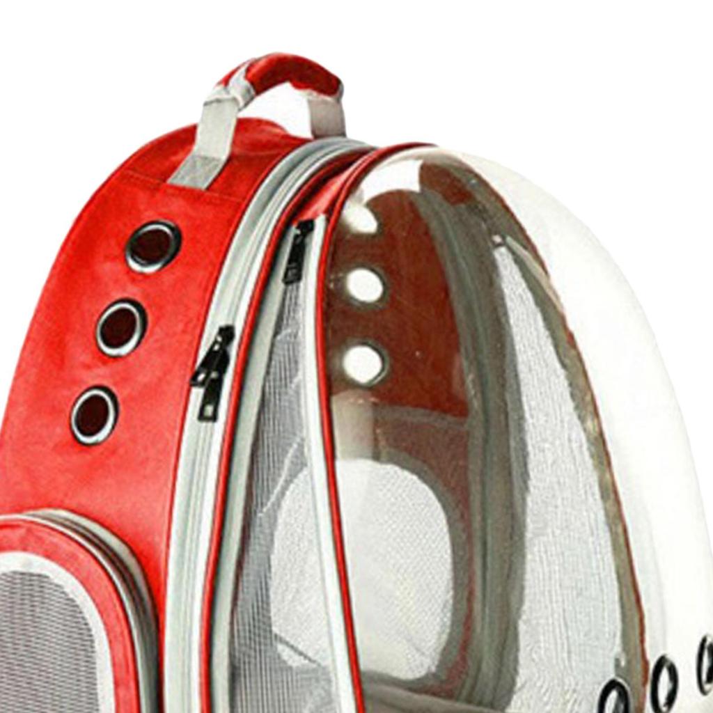 cat backpack near me