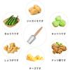 Liroyal Zester Stainless Sharp Dishwasher for Gratering Parmesan and Fruits Grater, Grater, Steel, Non-slip, Blade, Safe, Compact, Garlic, Ginger,