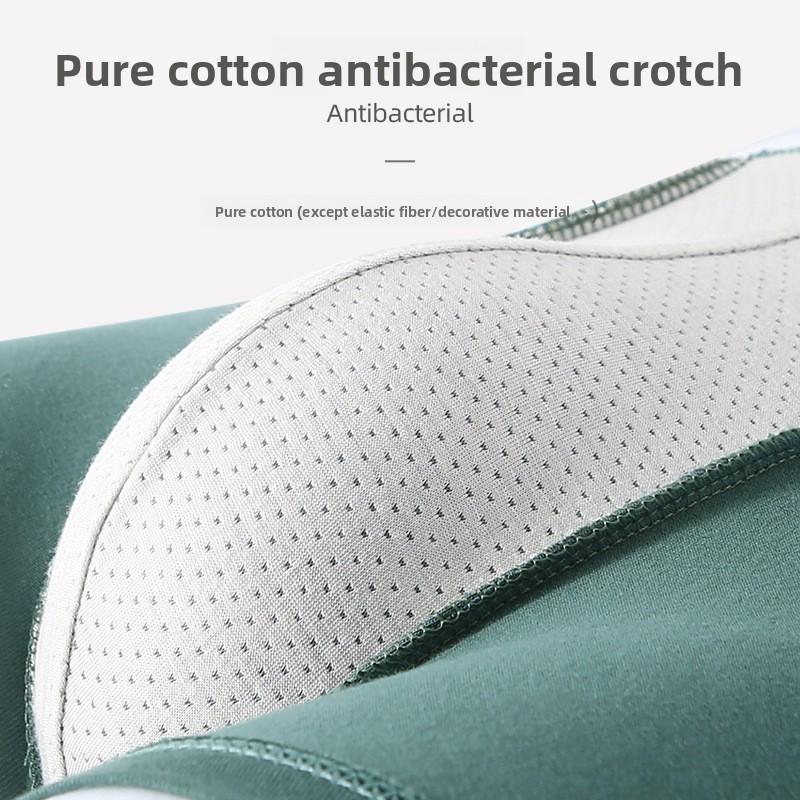 Large Size Male Spring and Autumn Pure Cotton Antibacterial Base Breathable Flat Angle Underwear