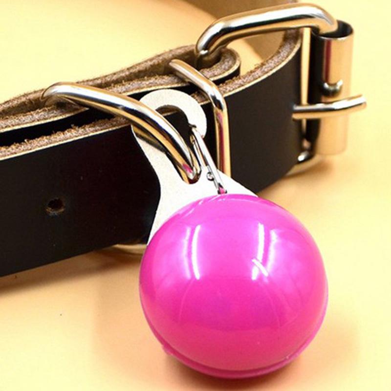 LED Pet Pendant: Anti-Lost Flashing Light & Dog Bell for Night Walking