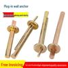 M6 Hammer-In Wall Plug Expansion Screw for Cement Walls