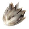 50Pcs Feathers for Fly Tying Fly Wing Tail Material Feathers Fly Tying Supplier for Cosplay Party Wedding Activities Carnival