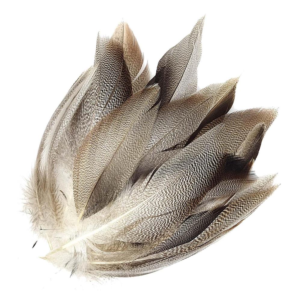 50Pcs Feathers for Fly Tying Fly Wing Tail Material Feathers Fly Tying Supplier for Cosplay Party Wedding Activities Carnival