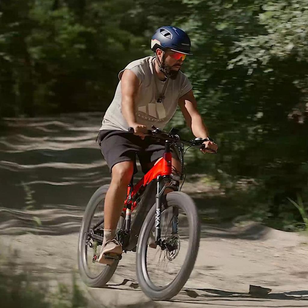 DUOTTS E29 27.5 Inch Off Road Electric Bike, 13.5Ah Removable Battery, 14 Speed, Max 90km Range