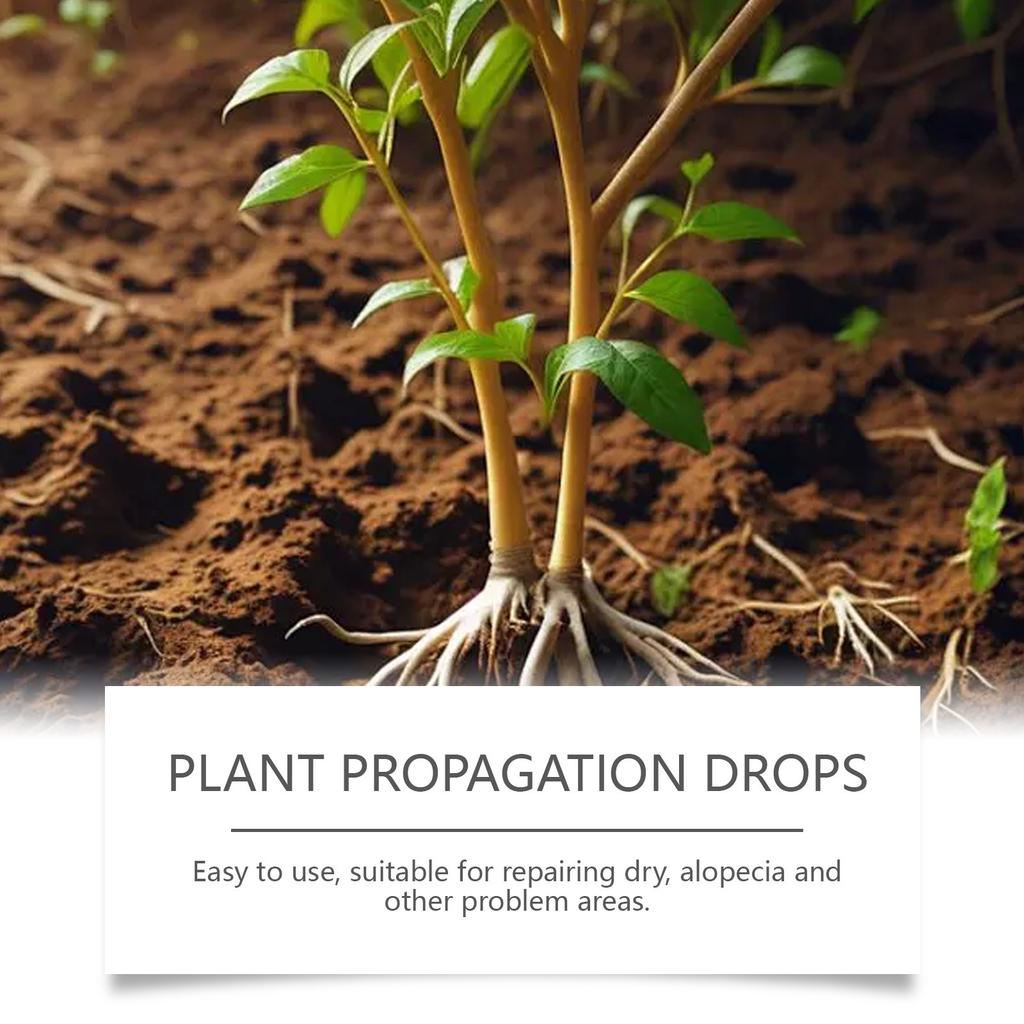 Plant Propagation Drops;Plant Nutrient Solution; Plant Nutrient Drops(100ml)