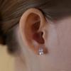 [Silver925] Fresh-water Pearl Clear Earring