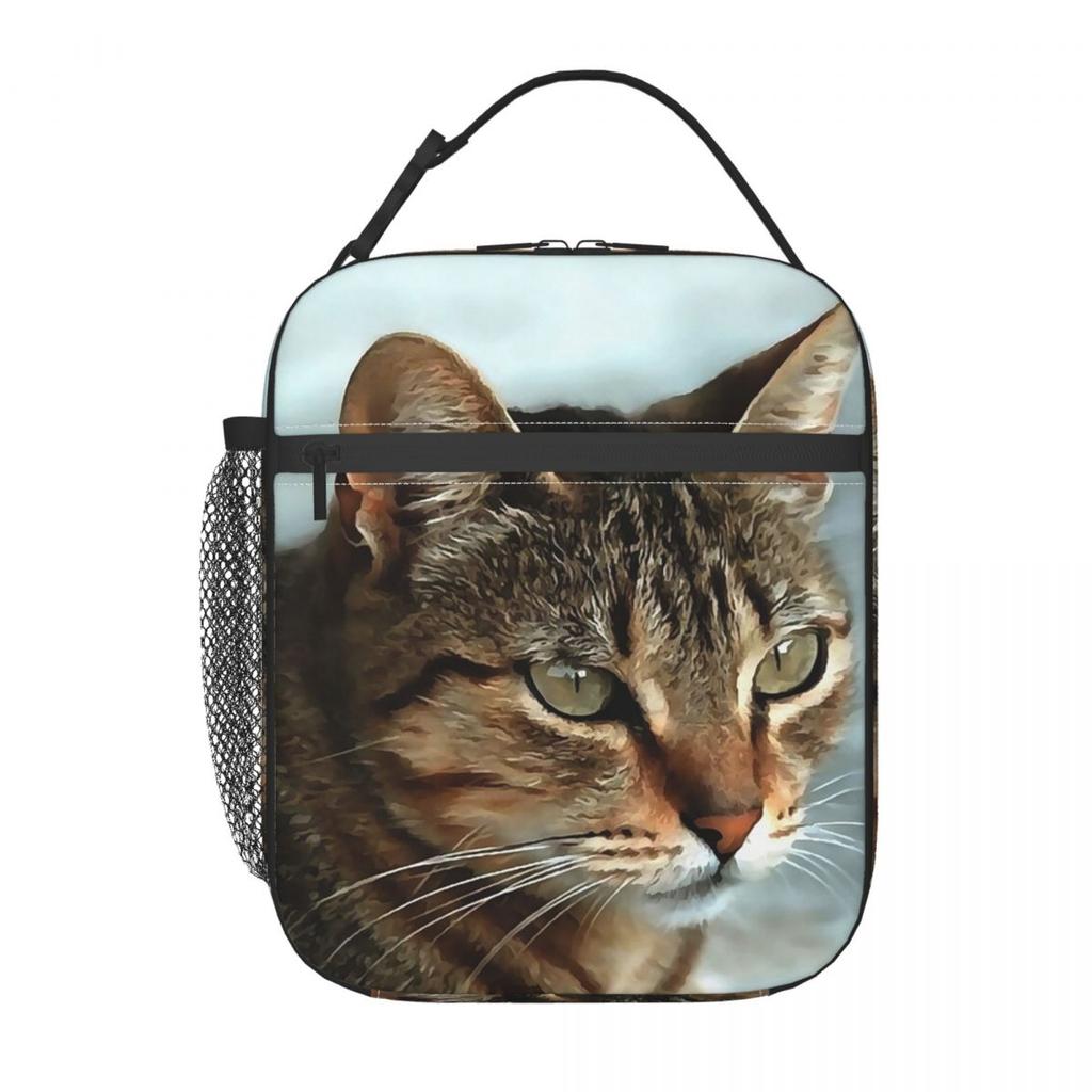 Cute Tabby Cat Face Insulated Lunch Bag for Women Kids Portable Food Boxes Thermal Lunch Box Tote