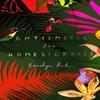 Antiemetic for Homesickness by Romalyn Ante Paperback Book 9781784743000