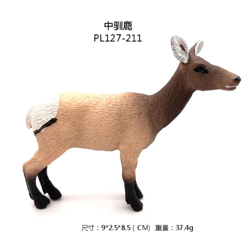 Realistic Fawn and Deer Models, Kids Solid Toys, Wildlife Animal Figurines for Home Decor