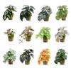 Exquisite Plastic Bonsai Set For Home And Photography Props Eucalyptus Banana Leaf Turtle Back Daisy Hibiscus