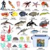 Ocean Crab Simulation Toy Set: Includes Hermit, Swimming, and Three-Spot Plastic Models