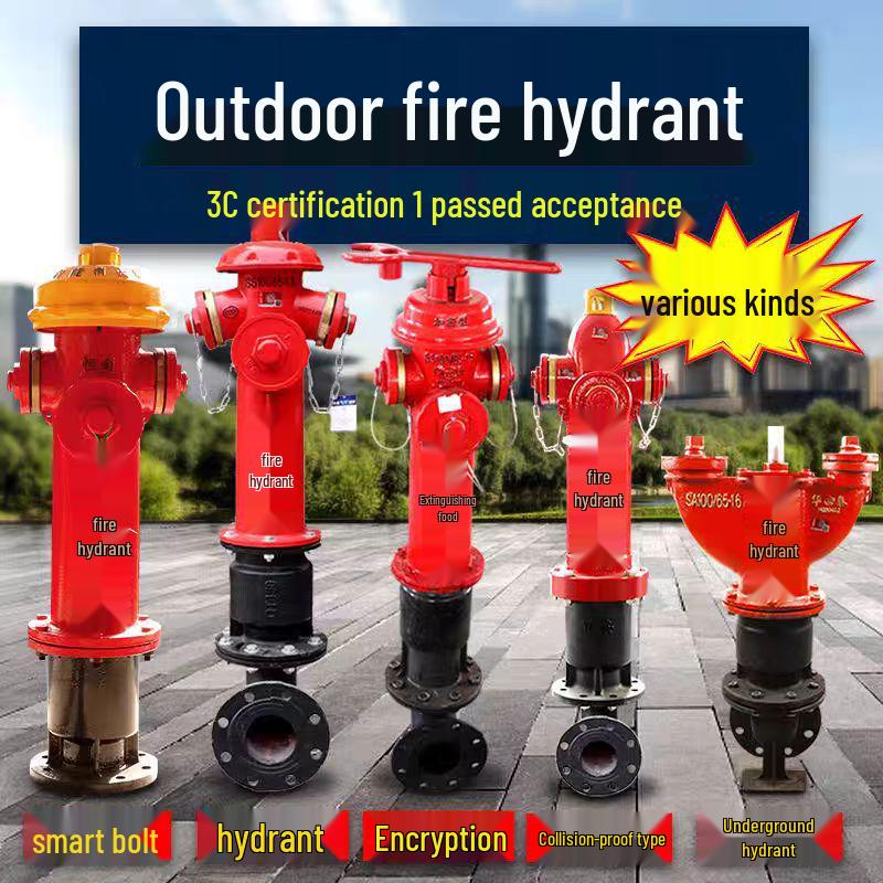 Outdoor Fire Hydrant SS100/65-1.6 National Standard