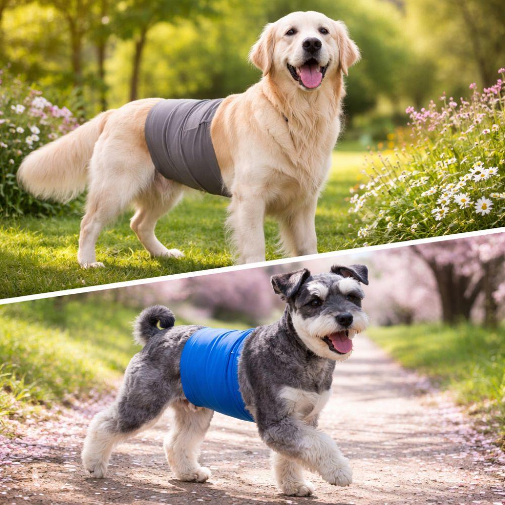 Breathable Dog Physiological Pants High Absorbing Washable Male Dog Diapers Comfortable Leak-proof Pet Underwear Heat Season
