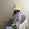 Women's Summer Handmade Crochet Straw Hat with Floral Pattern, Wide Brim Sun Hat, Hollowed-out, Foldable, Sun Protection Beach Fisherman Hat
