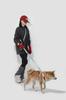 HiDREAM Vivid PRO Series Dog Tracheal Protection Harness SUNRISE S X-Type