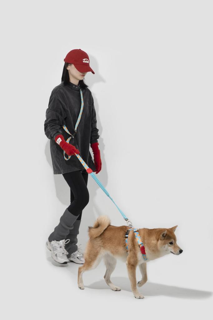 HiDREAM Vivid PRO Series Dog Tracheal Protection Harness SUNRISE S X-Type