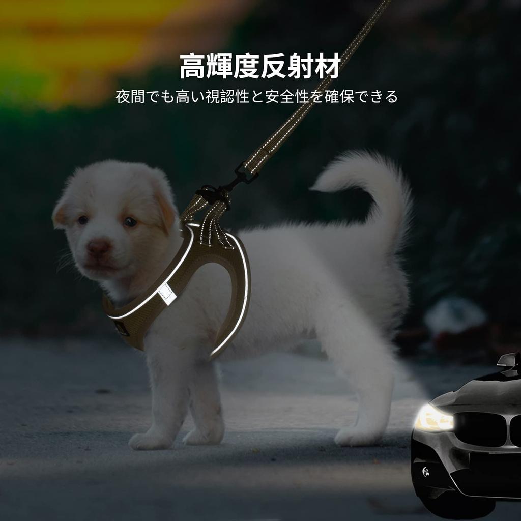 BELLA PAL Dog Harness and Lead Harness for Small Extra Small Adjustable Night Easy To Put On and Take Mesh for Walks & Set, Dogs, Dogs, Cats, Harness,