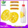 Wasp Trap Tool: Plastic Collector for Catching Wasps and Hornets, Protects Honeybees at Bee Farms