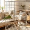 Clear Automatic Bird Feeder Large Capacity Bird Feeding Bowl Bird Food Container  for Indoor