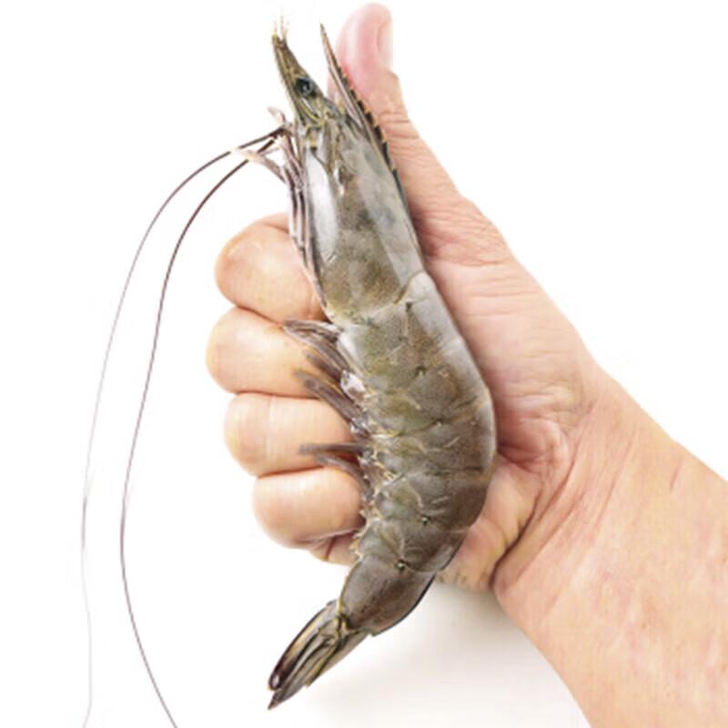 Thai Live Frozen White Shrimp