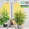 6-Inch Angel Ring Plant Light: Floor-Standing Full Spectrum Grow Light for Indoor Succulents and Green Plants