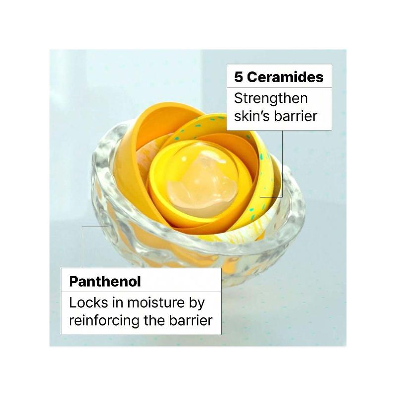 Dr.Jart+ Krem nawilżający barierę skórną do twarzy 50 ml, dla skóry suchej z ceramidami i pantenolem | Koreańska pielęgnacja skóry