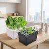 6 Holes Soil-Free Planting Box Plastic Nursery Pots Versatile Cultivation Box  Indoor Gardening