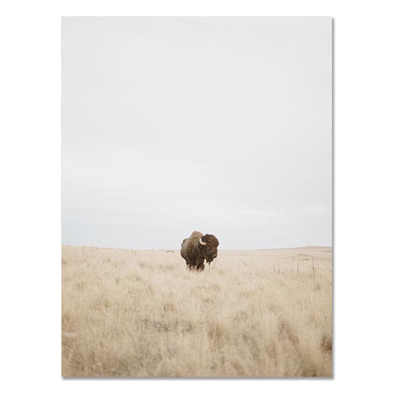 Buffalo Wall Art Bison Poster and Print Highland Cattle Painting Americana Southwestern Farm Wall Picture for Living Room Decor