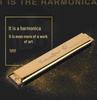 C Key 24-Hole Double Row Harmonica for Beginners and Students - Ideal for Children's Practice and Classroom Use.