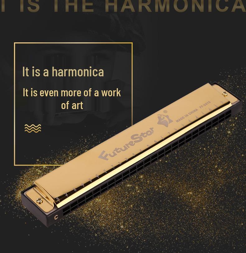 C Key 24-Hole Double Row Harmonica for Beginners and Students - Ideal for Children's Practice and Classroom Use.