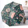 1pc Hedgehog Garden Automatic Open/Close Umbrella, Windproof, Folding Compact Umbrella with Lightweight Design for Women/Men050