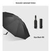 Beneunder Three-Fold Umbrella with 10 Ribs
