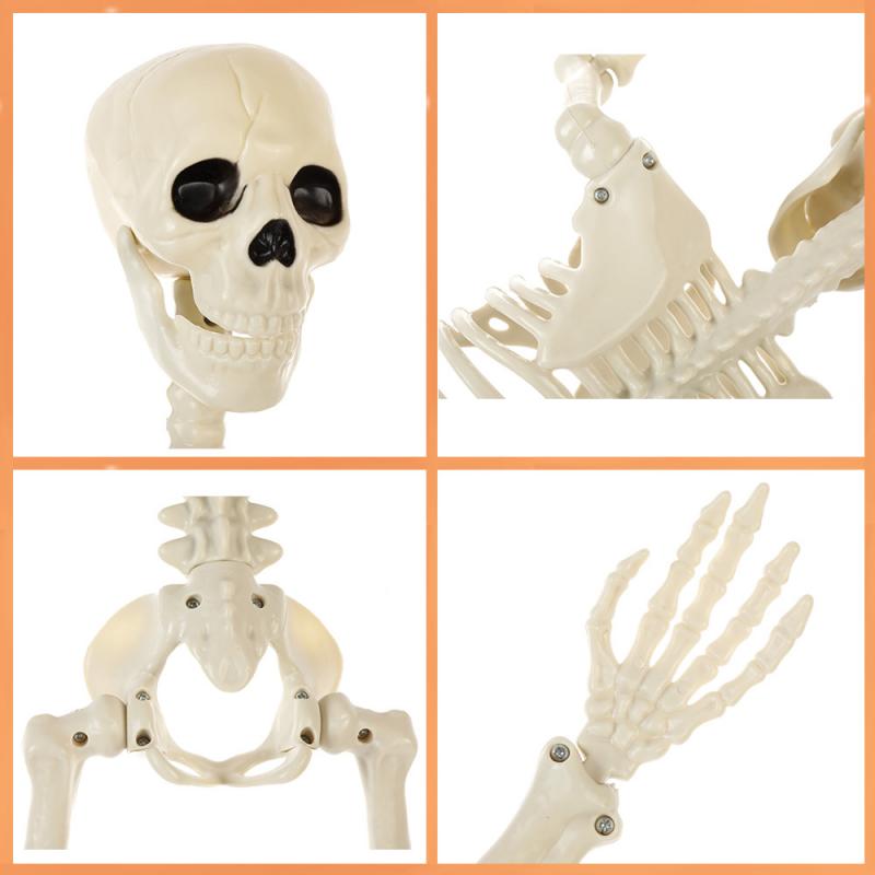 40cm Halloween Skull Skeleton,posable Skeleton,human Shape Bones,halloween Party Home Decorations,haunted House Horror Props