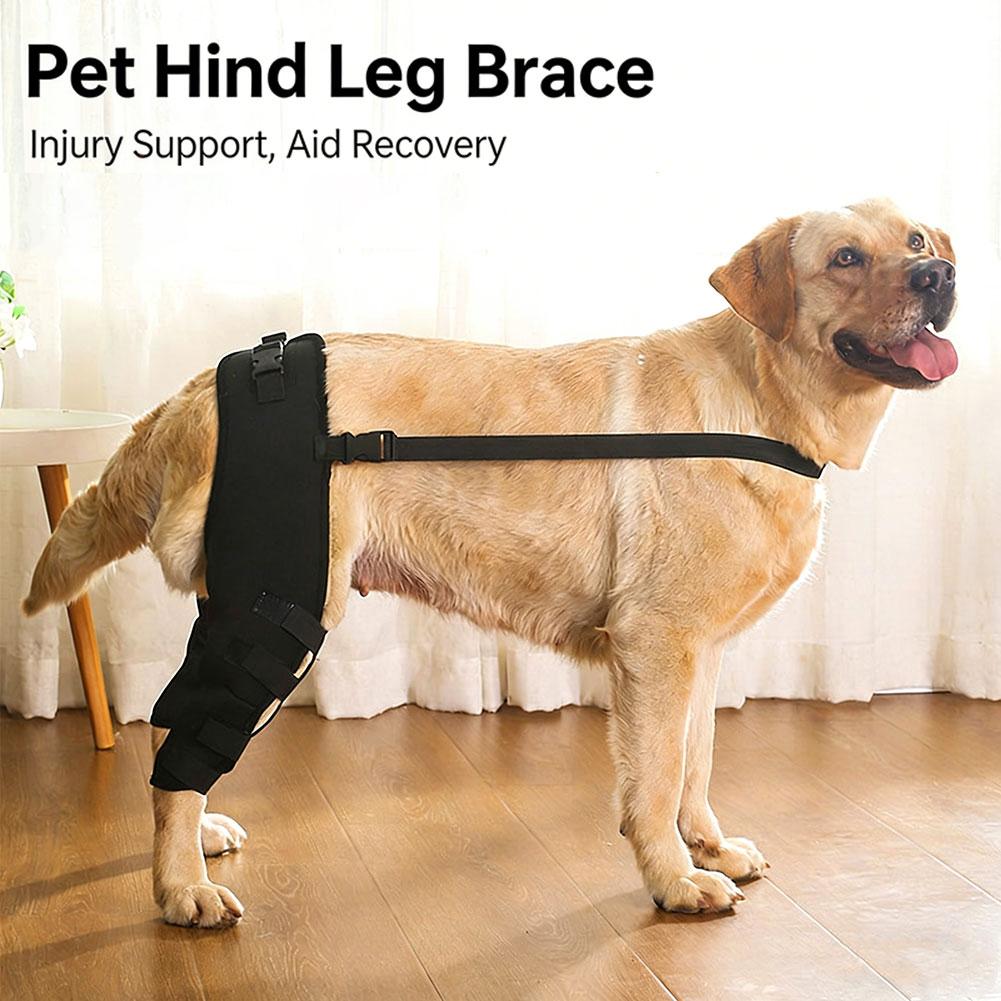Knee Hip Joint Protector Dog Leg Support Brace Wound Recovery Prevent Injuries Canine Ligament Rehabilitation Accessory