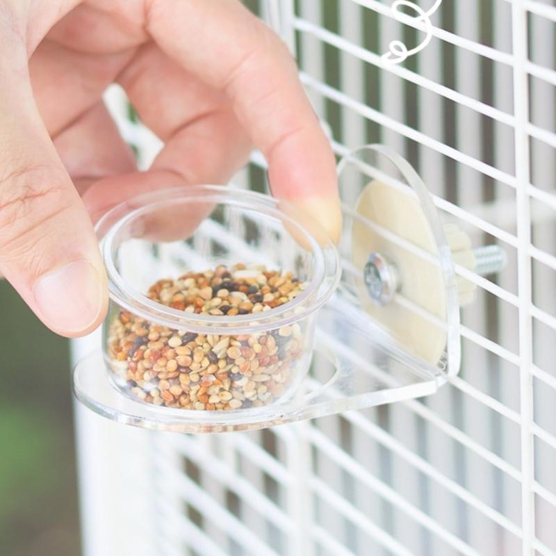 Bird Bowl Training Cup Feeding Bowl Parrots Cage Toy for Cockatiels Budgies Parrots Gym Toy Feeding Cup