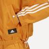 Adidas Essentials Series Striped Hooded Zip Jacket Women Daily Sports Casual Outerwear Yellow HA0813