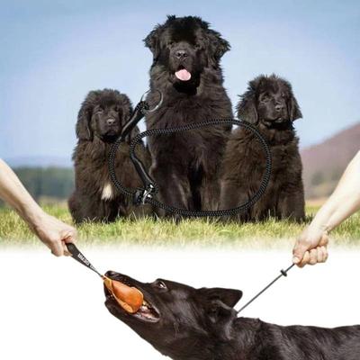 Gear Choke Dingo Collar Dog Training Handmade Cord Limiter Waterproof Large Dogs
