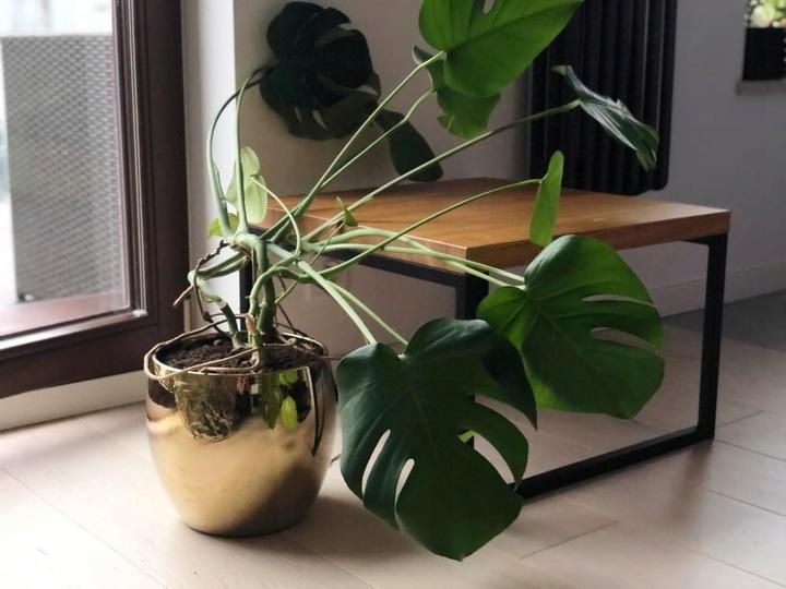 Ceramiczna Osłonka Doniczka Kula 17Cm Złota