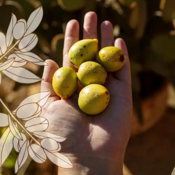 БИО-Флюид-выравниватель для ломких непослушных волос с Аргановым маслом Logona 75 мл