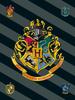 Kocyk Polarowy 100X150 Harry Potter 0226 Pled Dziecięcy