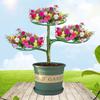 2024 Ladder Rack Plant Support Stand Garden Bonsai Plant Cage Frame Stackable Plastic Climbing Frame