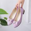 Women's Glitter Bowknot Decor Pointed Toe Low Block Heels Slip-On Elegant Dress Shoes Wedding Party Evening Office Daily Wear