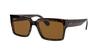 RB2191F Brown 55mm Ray-Ban Men's Sunglasses, Havana/Polar Lens,