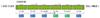 TOMIX N Gauge JR 103 Series Commuter Train JR West Japan Specification Black Sash Warbler Basic Set 98422 Railway Model Train