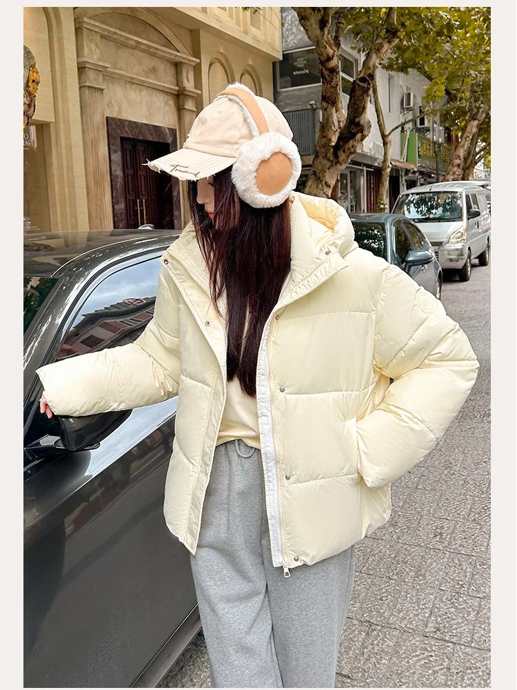 Women’s Short Hooded Windproof Thicken Warm Winter Jacket 4 Colors