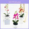 Simulated Phalaenopsis Potted Artificial Artificial Flower Desktop Ornament