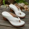 Summer New Foreign Trade Large Size Slippers Women's European and American Flip Toe High Heel Thick Heel Casual Wear Beach Women's Sandals