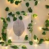 2M 20 LED Vine Fairy Lights Battery Operated Curtain Led Lights Green Leaf String Lights  Christmas