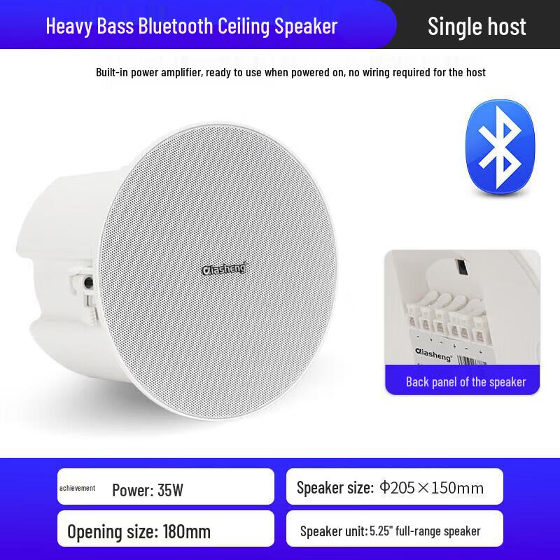 

QIASHENG Bluetooth Ceiling Speaker System Host CN plug (adapter included)