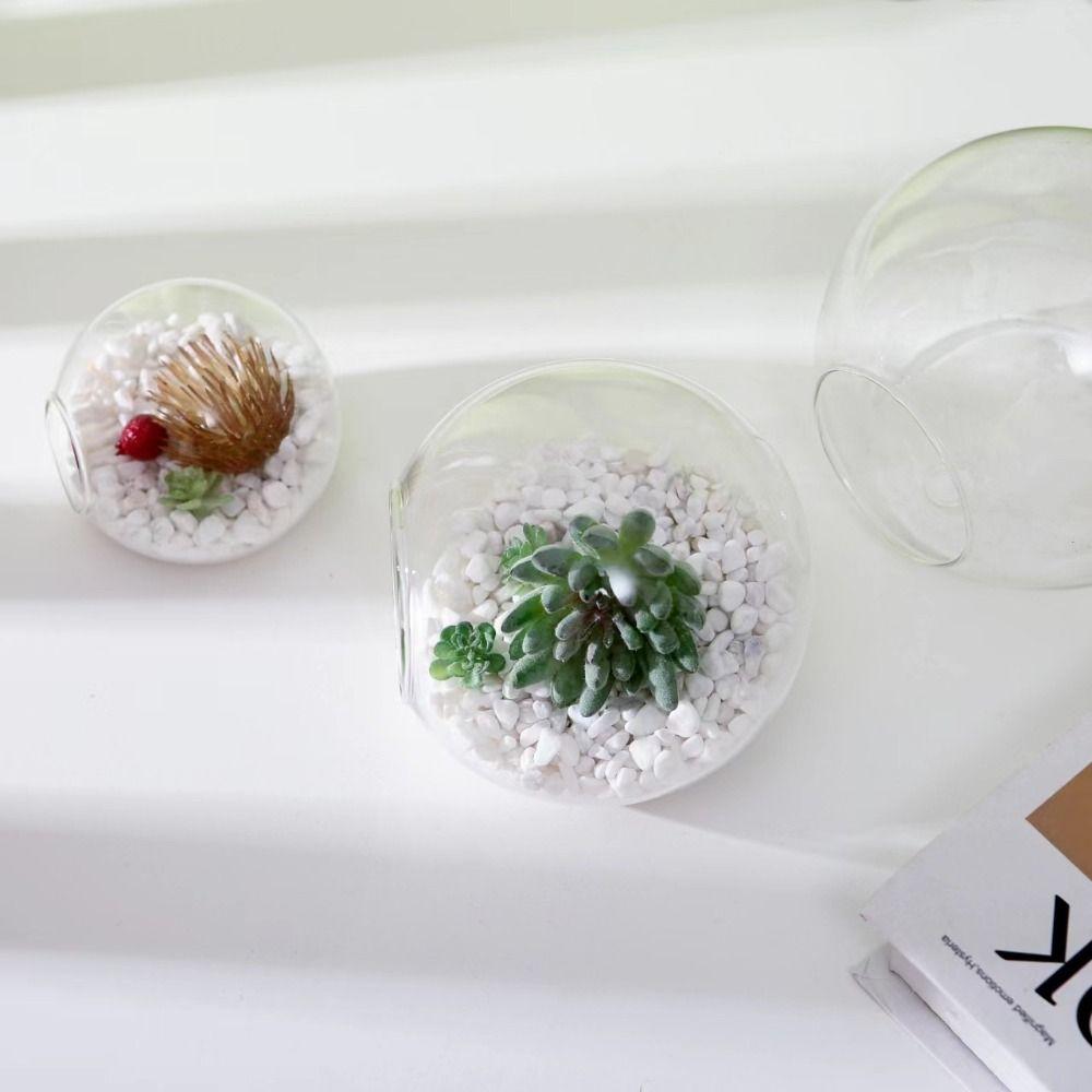 Terrarium Container Blume Flasche Sukkulente Hydrokultur Pflanze Vase